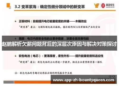 赵鹏解析欠薪问题背后的深层次原因与解决对策探讨