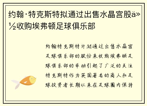 约翰·特克斯特拟通过出售水晶宫股份收购埃弗顿足球俱乐部